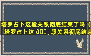 塔罗占卜这段关系彻底结束了吗（塔罗占卜这 🌸 段关系彻底结束了吗为什么）